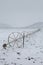 Cereal fields with irrigation wheels with snow in Nevada