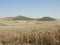 Cereal  fields in the summer, Spain