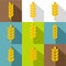 Cereal grain icon set, flat style