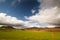 Cereal green fields and blue sky with clouds