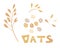 Cereal plants, agriculture industry organic crop products for oat groats flakes, oatmeal packaging design. A handful of