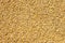 Cereal wheat grain texture pattern