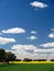 Cereals and oilseed blossoms