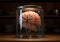 Cerebral Containment - Brain Specimen in Glass Jar