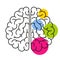 Cerebral hemispheres with highlighted colorful spots, abstract graphic of left and right brain hemispheres