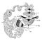 The Cerebrum and Basic Ganglia of the Brain, vintage illustration