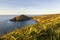 Ceredigion Coastal Path Views