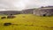 Ceremonial city of Orongo on the Rano Kao volcano on Easter Island. Rapa Nui culture