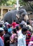 A ceremonial elephant passes through a crowded street in Kandy in Sri Lanka.