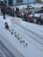 Ceremonial start of the Iditarod