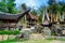 Ceremony site with megaliths. Bori Kalimbuang. Tana Toraja. Indonesia