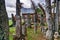 Ceremony site with megaliths. Bori Kalimbuang. Tana Toraja. Indonesia