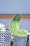 Cereus columbians f cristata or cactus , succulent