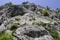 Cerna Mountain Cliff from Baile Herculane Resort in Romania