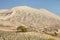 Cerro Blanco sand dune with tree, Nasca or Nazca, Peru