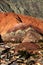 Cerro de siete colores in northwest Argentina