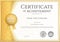 Certificate of achievement template in vector