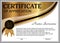 Certificate of appreciation, diploma. Reward. Winning the competition. Award winner. Gold decorative elements. Vector