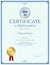 Certificate of excellence template with gold seal