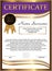 Certificate golden and purple template. Vertical background. Win