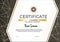 Certificate with metallic gold lines on grey background. Modern fashion vertical Certificate template. Elegant diploma in vector