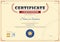 Certificate of participation template in baseball sport theme