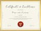 Certificate template for achievement, appreciation, completion