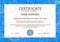 Certificate vector template. Formal secured blue border Guilloche pattern for Diploma