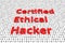 Certified ethical hacker