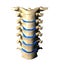 Cervical Spine - Anterior / Front view