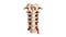 Cervical spine with Arteries anterior view