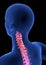 Cervical Spine Pain. Blue Human Anatomy Body 3D render on black background