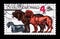 Cesky Terrier, Bloodhound, Hanoverian Hound (Canis lupus familia