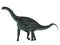 Cetiosaurus Dinosaur Side Profile