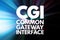 CGI - Common Gateway Interface acronym, technology concept background