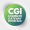 CGI - Common Gateway Interface acronym, technology concept background