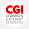 CGI Common Gateway Interface - provides the middleware between www servers and external databases and information sources, acronym