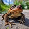 A CGI frog brought to life in stunning hyper-realistic detail.