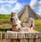 Chac Mool Chichen Itza figure Mexico Yucatan