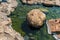 Chaeson hot spring pond landscape, Lampang province