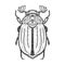 Chafer may bug Melolontha sketch vector