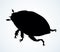 Chafer. Vector drawing of a big beetle