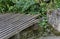 A chaffinch (Fringilla coelebs) sit on fense in the fulling mill