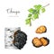 Chaga mushroom hand painted watercolor set. Inonotus obliquus medicinal fungus element. Chaga fungus growing on the tree