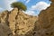 Chahkuh Canyon, Qeshm Island, Iran