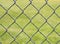 Chain Link Fence