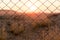 Chain link fence blocking the passage to beautiful sunset with barren desert with bushes and mountains in the distance