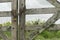 Chain and padlock closing a gate, behind it a field of sunflowers and a cloudy sky