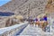 Chain of People Descending on Mules as a Tourist Attraction in Thira Fira the Capital of Santorini island