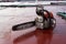 Chain saw laying on deck of ship